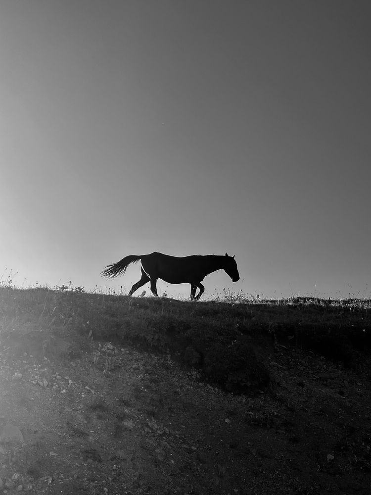 Photograph by Екатерина Сбитякова