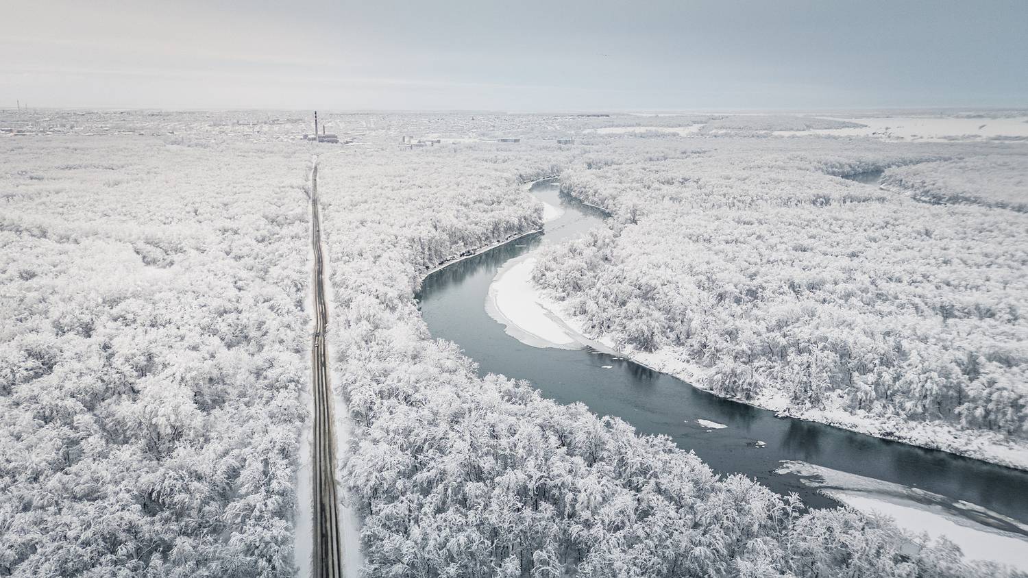 Фотография #13365641