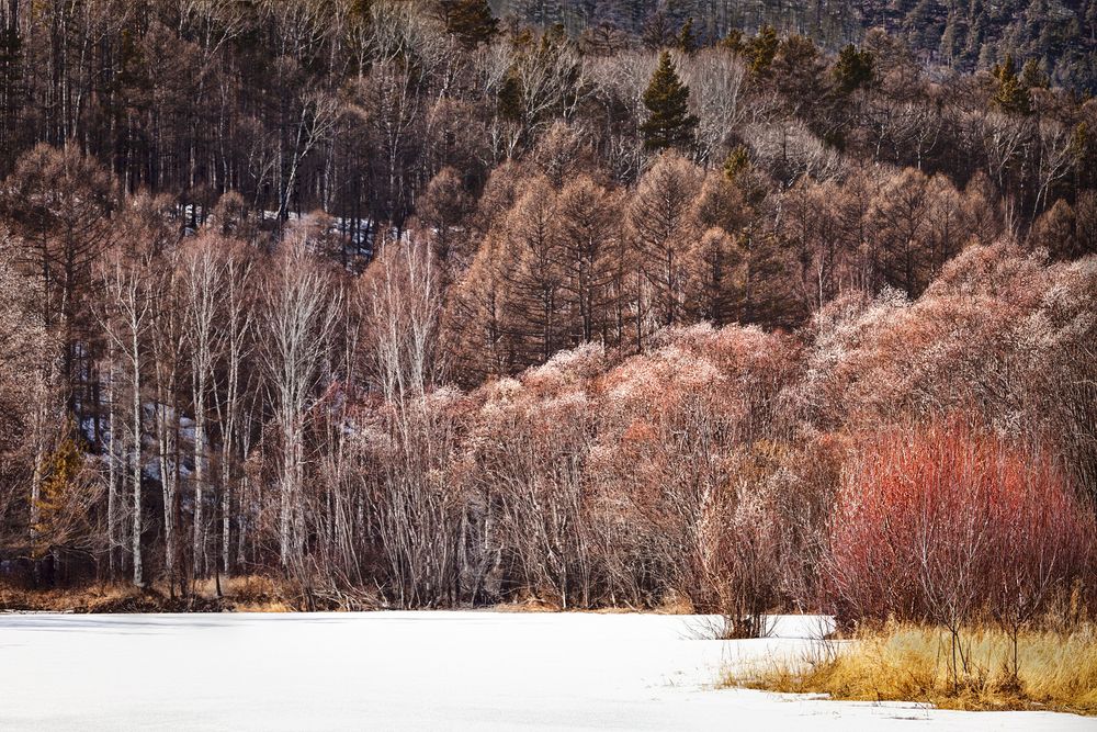 Photograph by Виктор Калинский