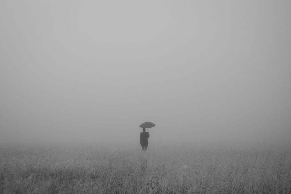 Photograph by MOJDEH NOROUZI