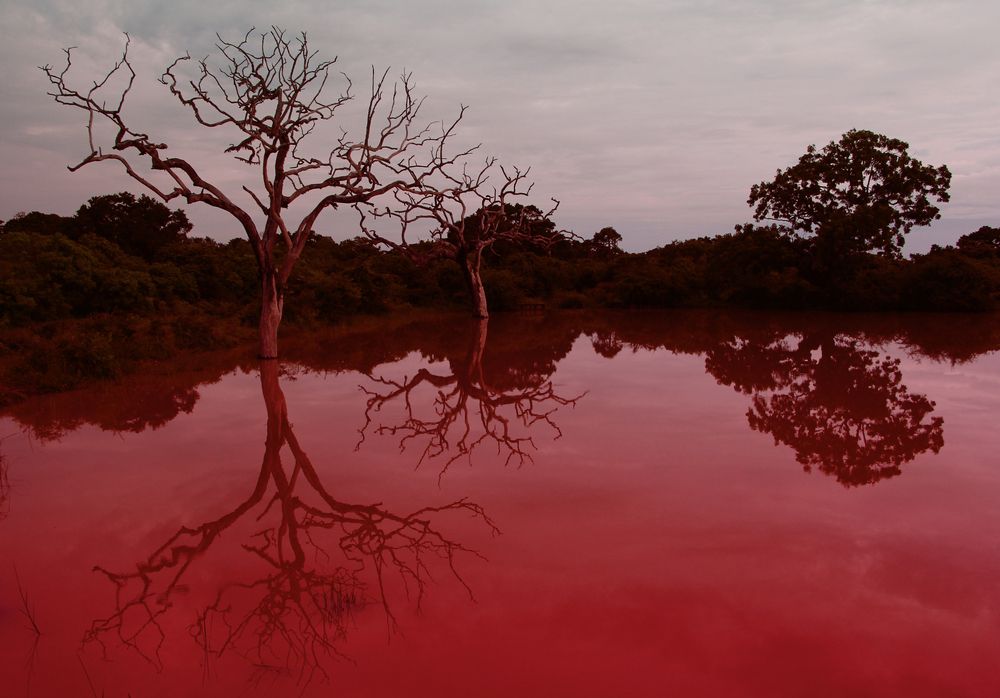 Фотография автора Volha Mamajanava