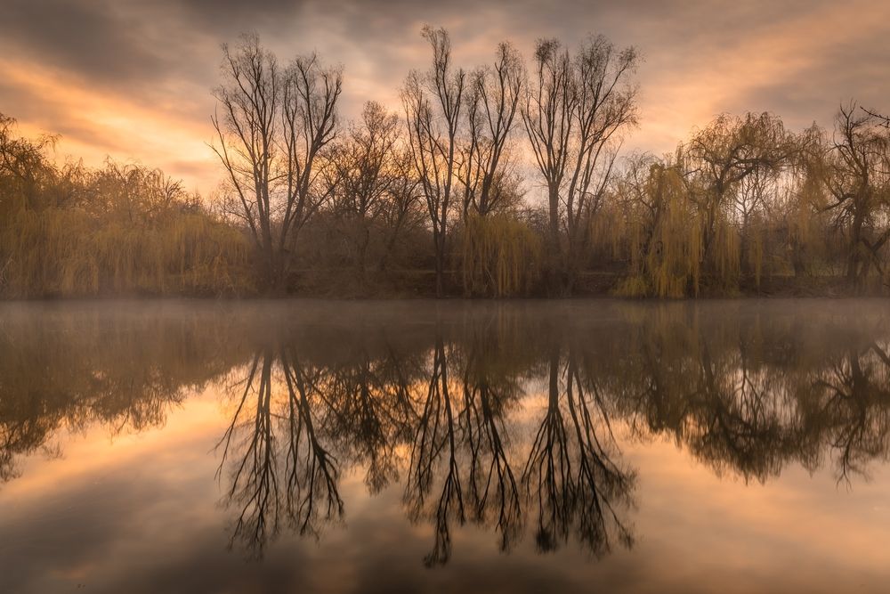 Photograph by Евгений Дядькин