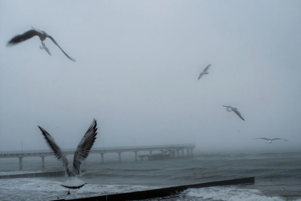 Photograph by Данил Воронин