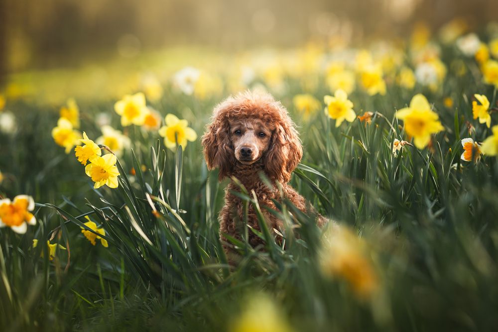Photograph by Julia Laatz