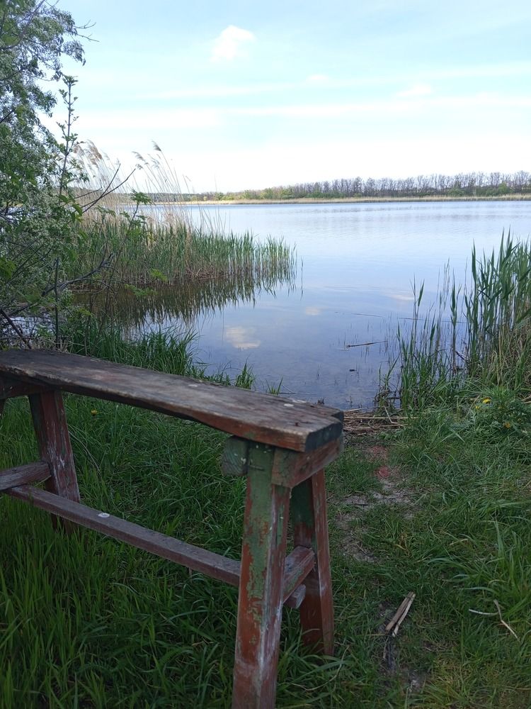 Photo #13366081
