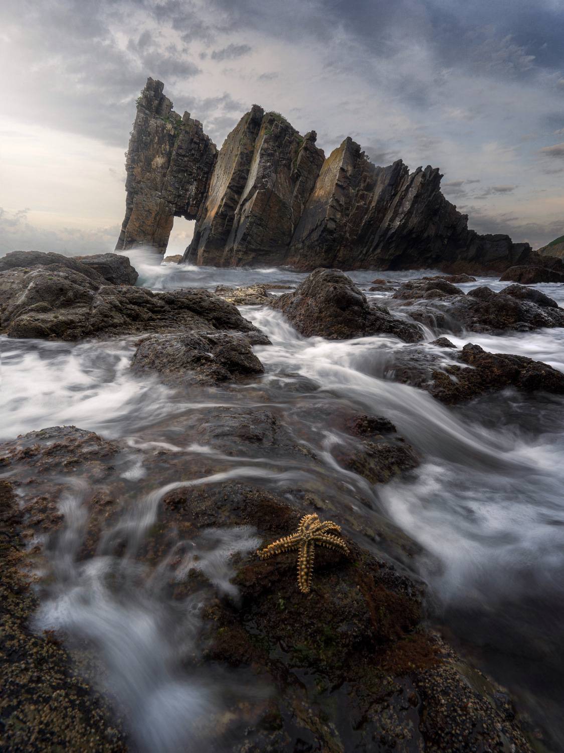 Фотография #13366093