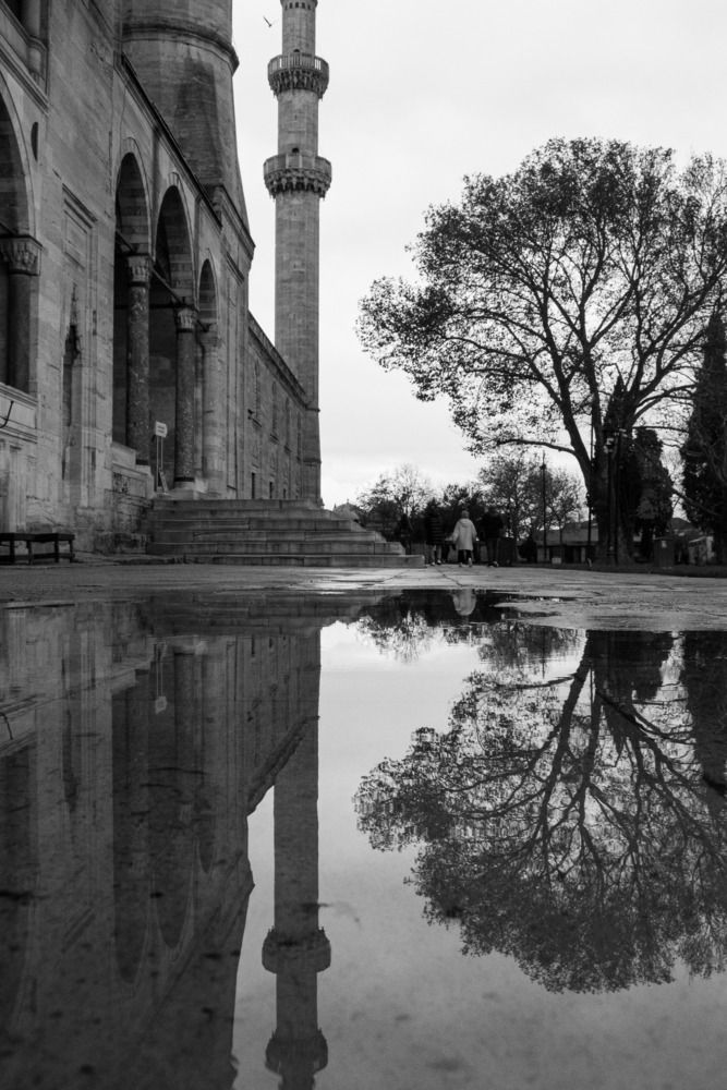 Photograph by Işıl Yetişkin
