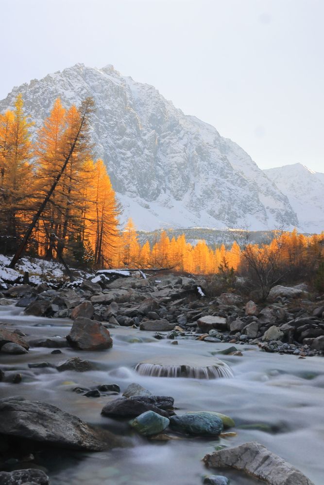 Актру на закате