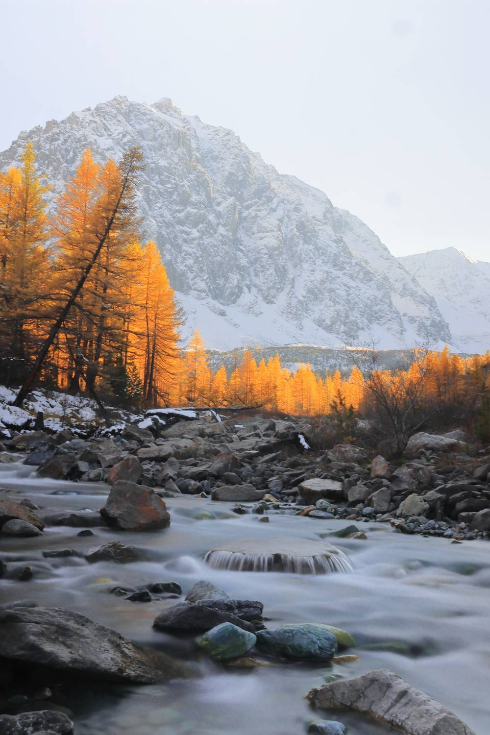 Актру на закате