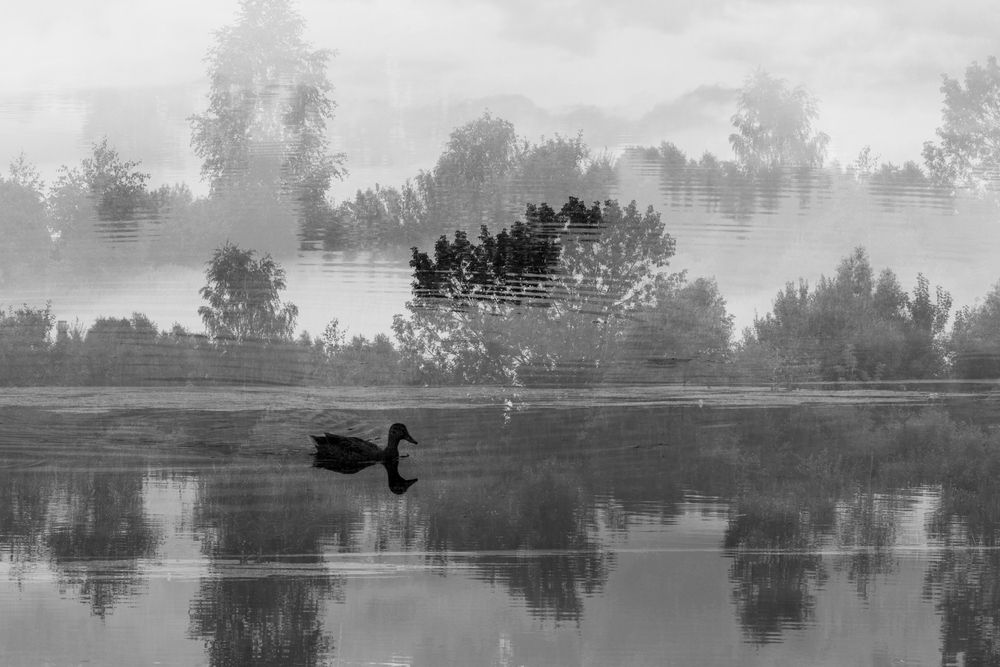 Photograph by Наталья Илюхина