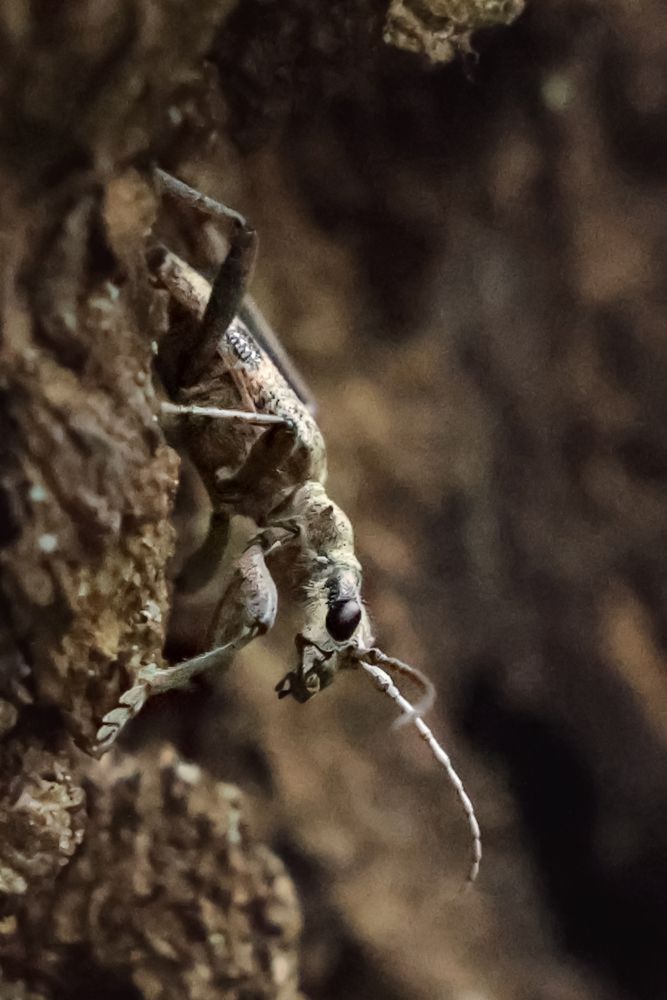 Photograph by Наталья Илюхина