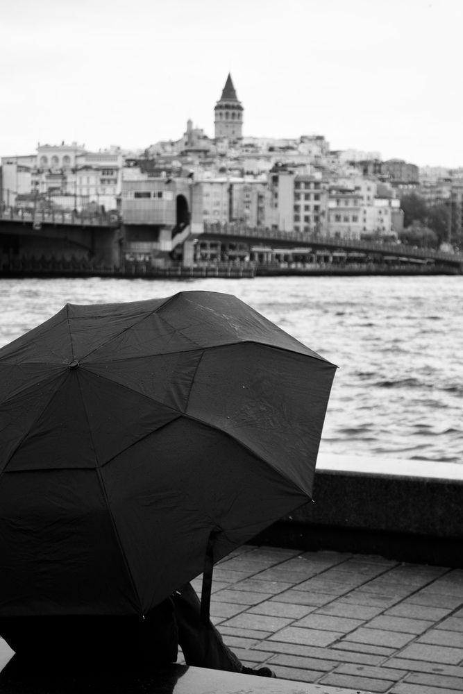 Photo #13366178