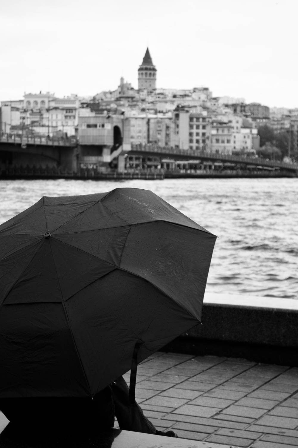 Photo #13366178