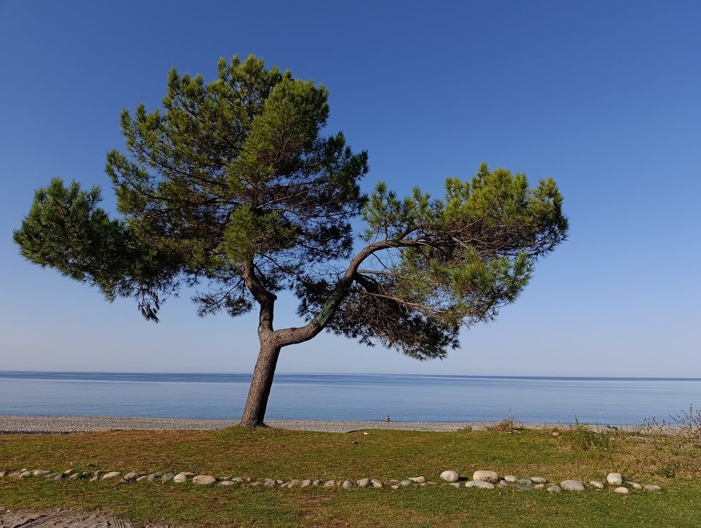 Photograph by Лена Хомякова