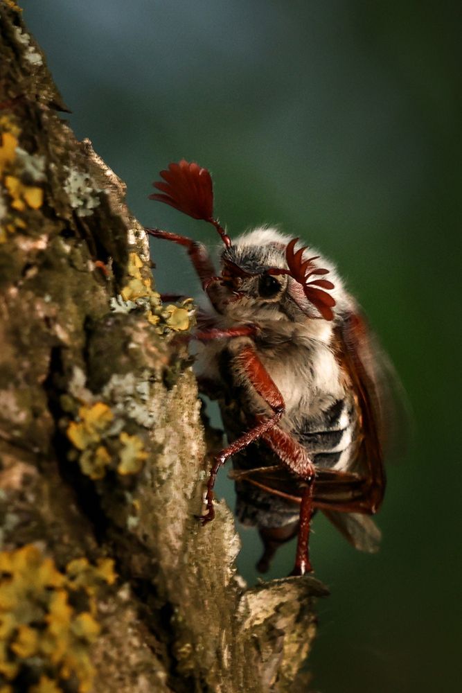 Photograph by Наталья Илюхина