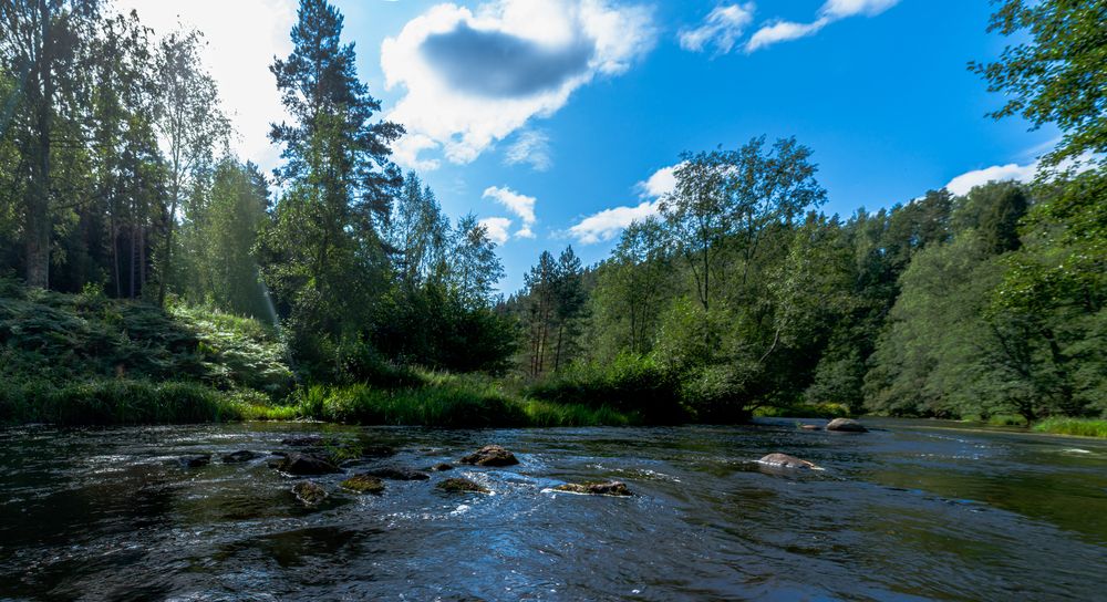 Фотография автора Павел Спиваков