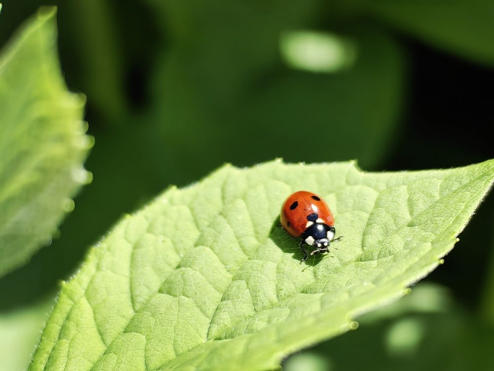 Photograph by Никитин Лев