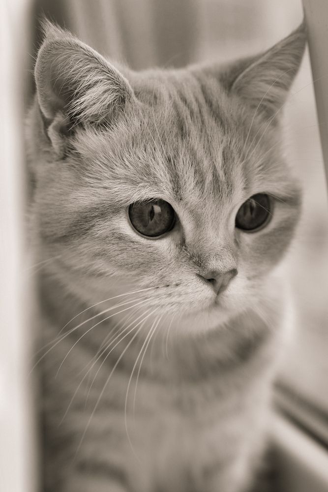 Photograph by Екатерина Кваша