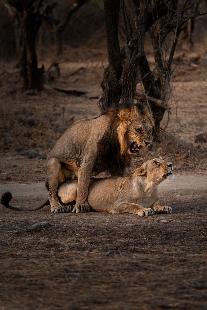 Photograph by Abhishek Kumar