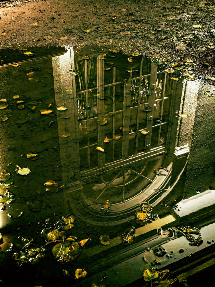 Photograph by Сергей Арямов