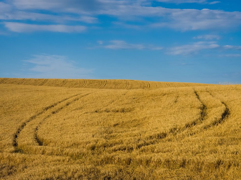 Photograph by Арсен Баккунов