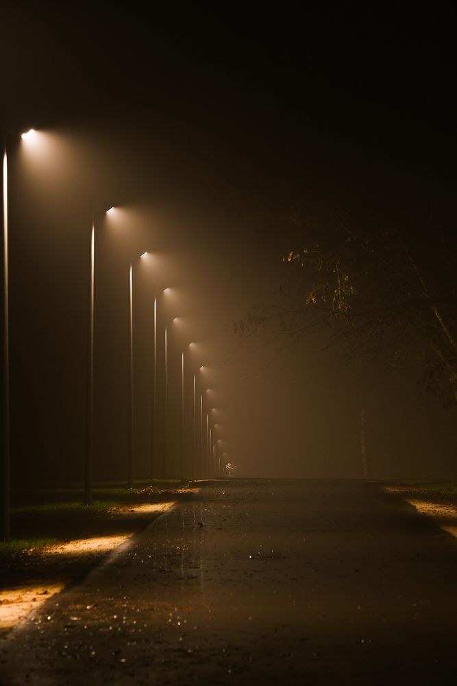 Photograph by Александр Высоцкий