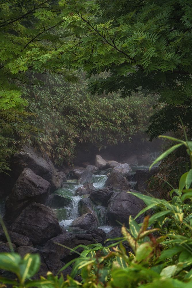 Photograph by Алена Котова