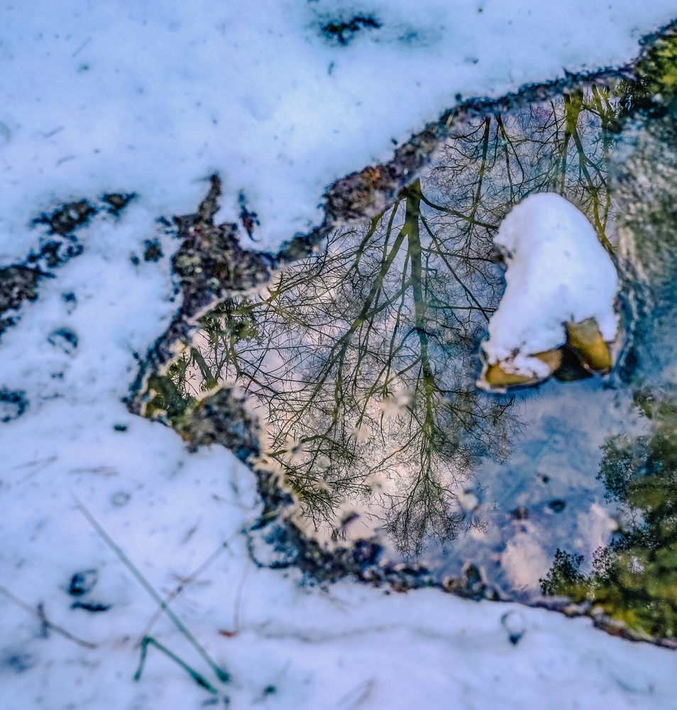 Photograph by Сергей Арямов