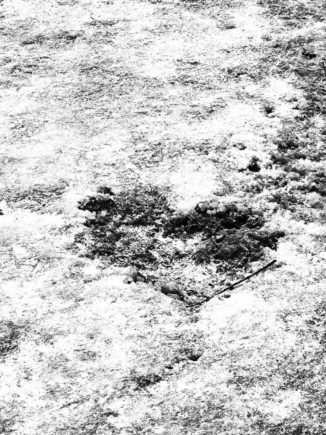 Photo #13366512
