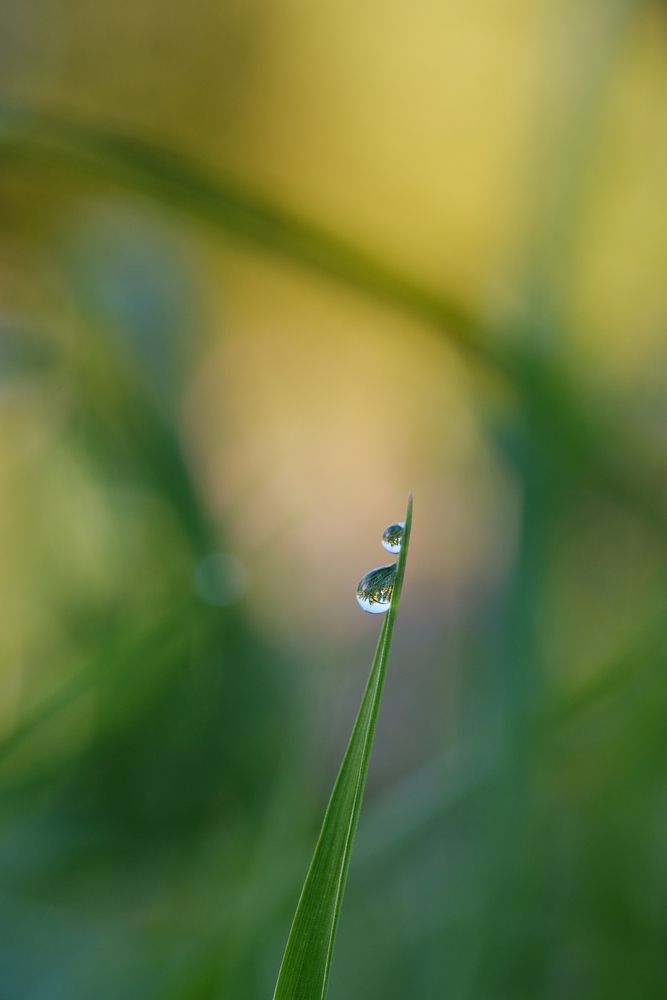 Photograph by Александр Высоцкий