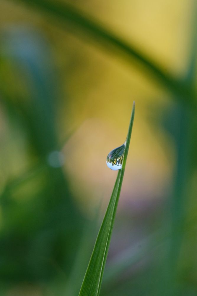 Photograph by Александр Высоцкий
