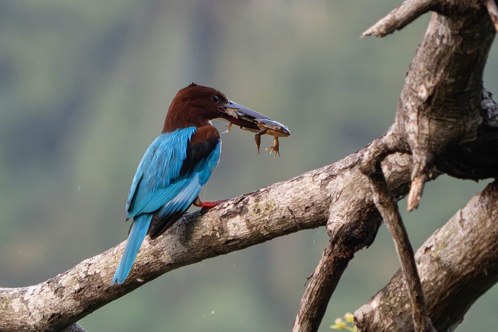 Photograph by Ranga Suriyage