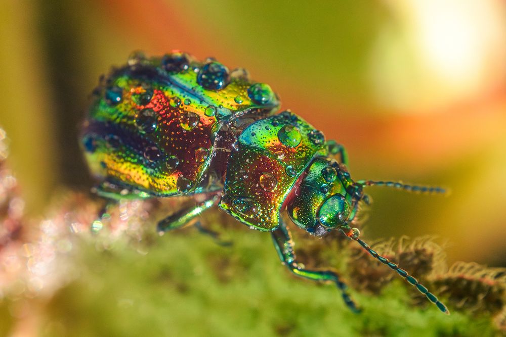 Photograph by Дмитрий Огольцов