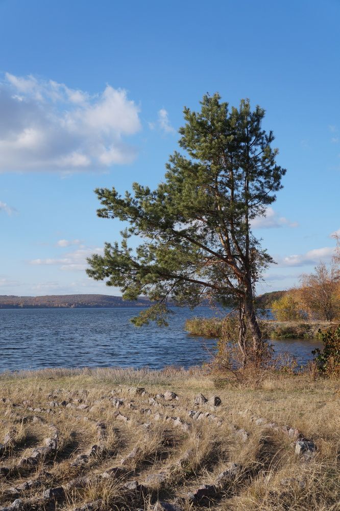 Photograph by Алексей Юдин