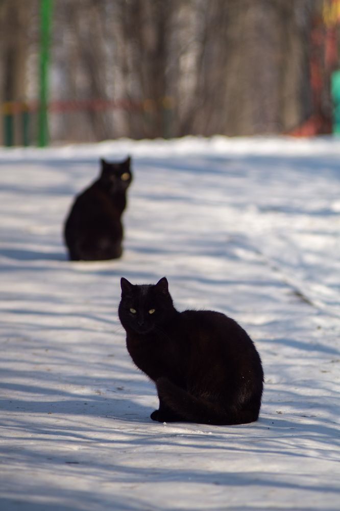 Photograph by Алексей Юдин
