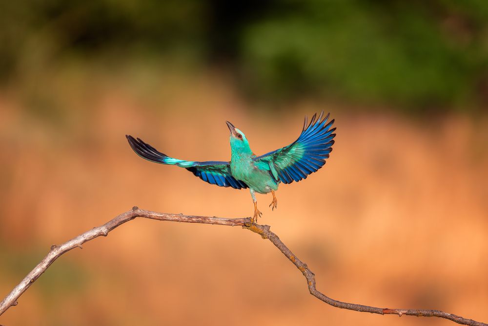 Photograph by Lyubomir Momchilov