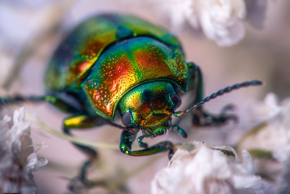 Photograph by Дмитрий Огольцов