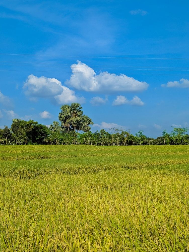The charming countryside