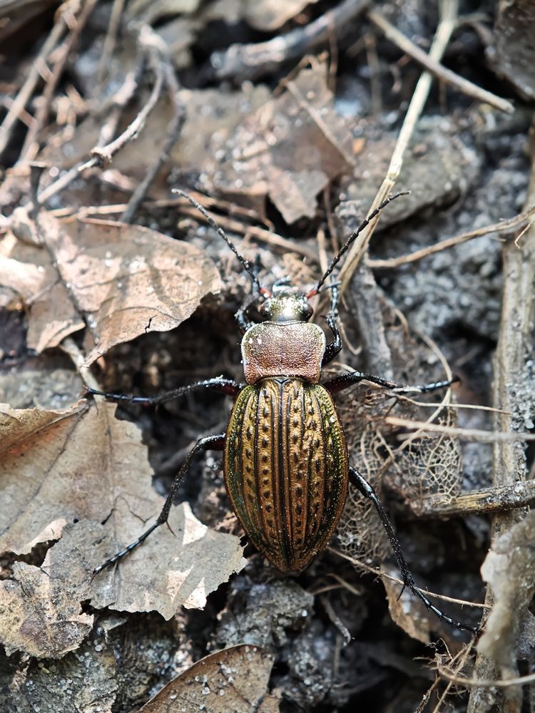 Photograph by Алексей Юдин