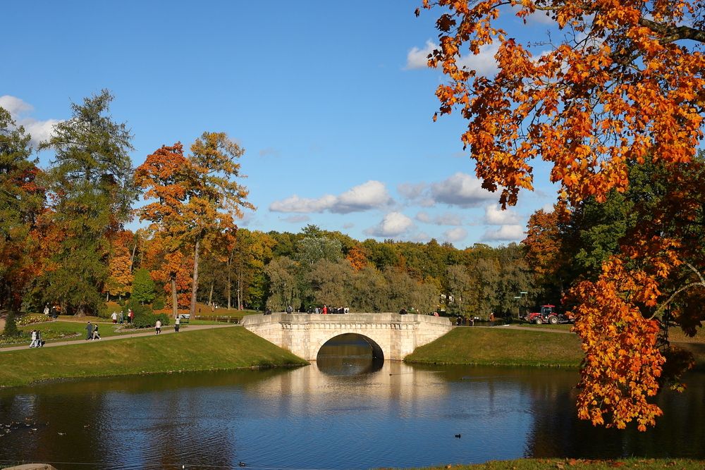 Photograph by Serge Halapin