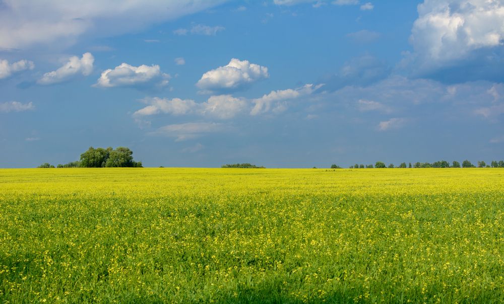 Photograph by Александр Поцелуев