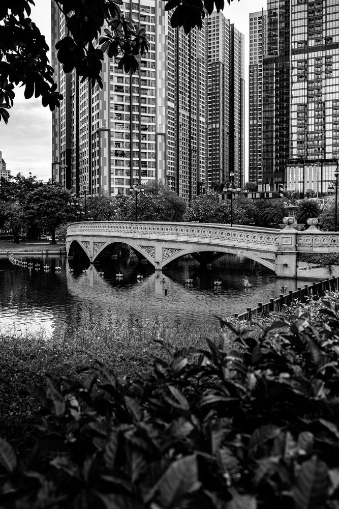 Фотография автора Tran Thanh Dat 🇻🇳