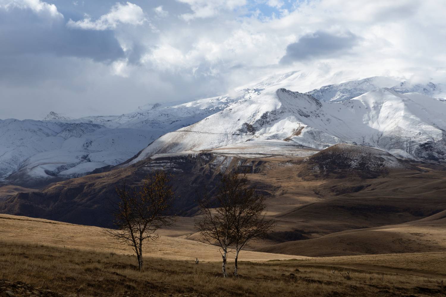 Фотография #13366988