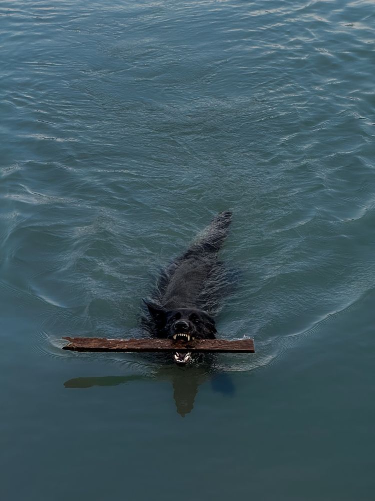 Photograph by Kara Sip