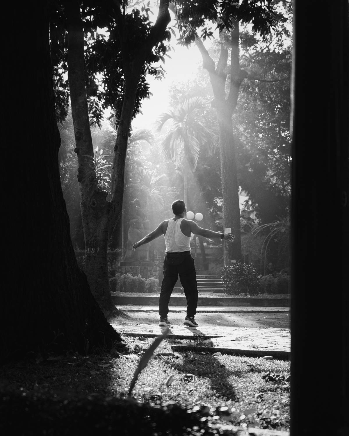 Resilience at First Light