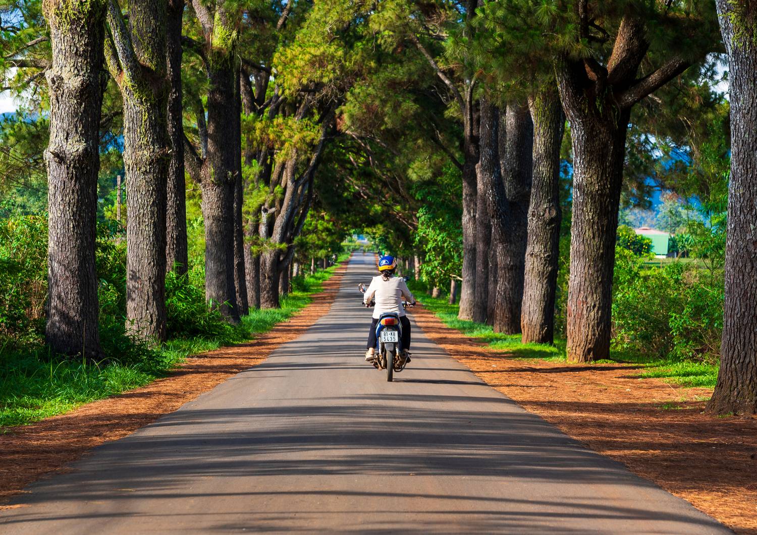 Embrace the Journey Embrace the Journey