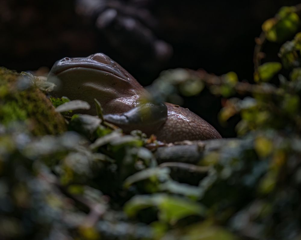 Photograph by Макс Полюхович