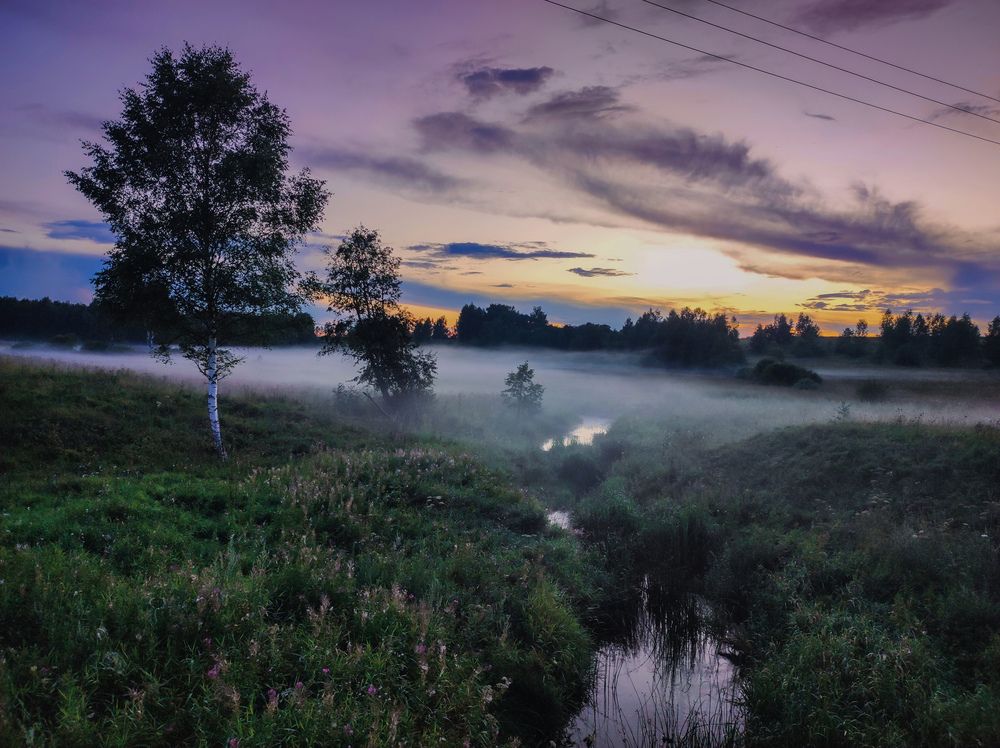 Photograph by Россоловская Евгения