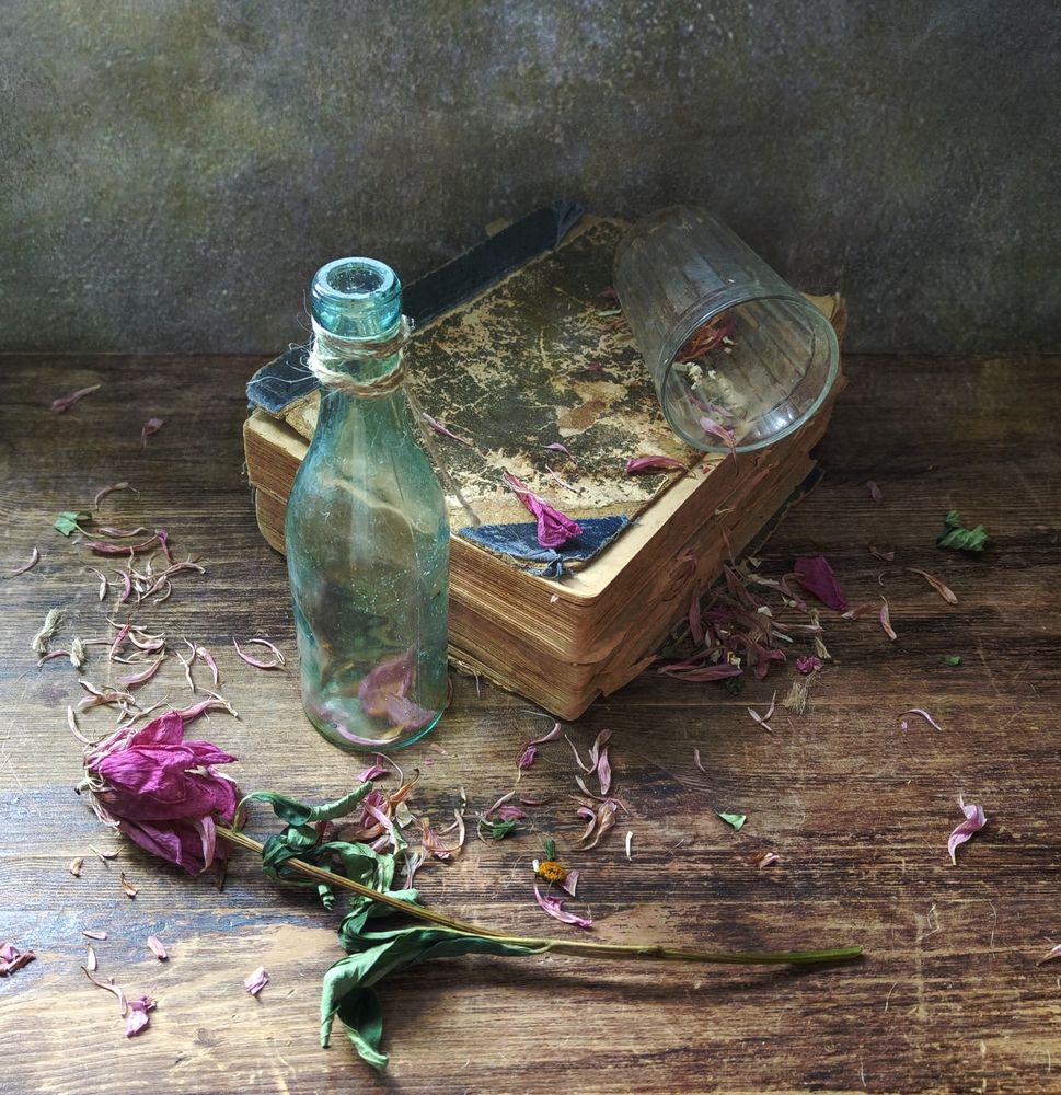 Photograph by Ирина Курмалеева