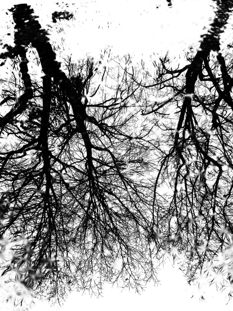 Photograph by Наталья Сафронова
